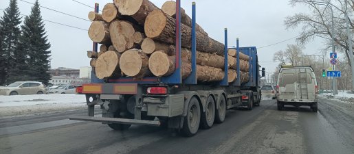 Поиск транспорта для перевозки леса, бревен и кругляка стоимость услуг и где заказать - Анадырь